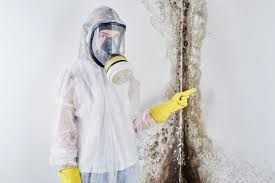 Mold Odor Removal Services in West Carthage, NY